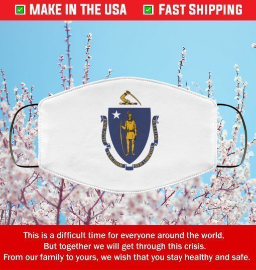 Flag of Massachusetts state Filter Face Mask