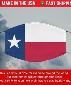 Flag of Texas State Filter Face Mask