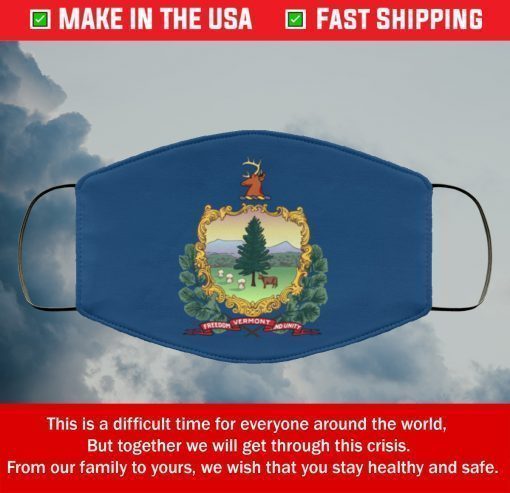 Flag of Vermont State Filter Face Mask