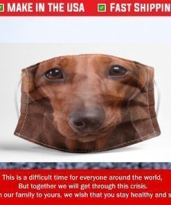 Red short hair Dachshund dog 3D Filter Face Mask