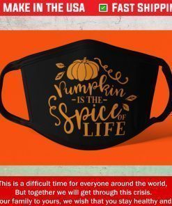 Pumpkin Spice Face Mask - Fall Face Mask - Autumn Theme Face Mask