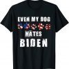 2021 Patriotic Sarcastic Joe Biden Democratic Republican US Flag T-Shirt
