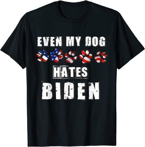 2021 Patriotic Sarcastic Joe Biden Democratic Republican US Flag T-Shirt