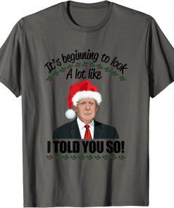 It's Beginning To Look A Lot Like I Told You So Apparel Unisex T-Shirt