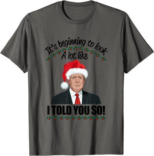 It's Beginning To Look A Lot Like I Told You So Apparel Unisex T-Shirt