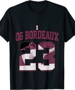 2021 Number 23 Sneaker Matching 1 Retro High OG Bordeaux Unisex T-Shirt