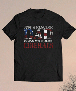 Just a regular dad trying not to raise liberals shirt