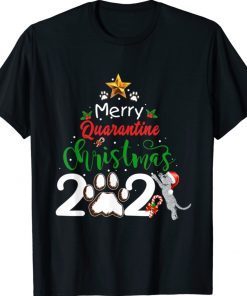 Merry Quarantine cat Family Christmas 2021 Shirt