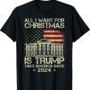 Vintage USA Flag All I Want For Christmas Is A New President Shirt