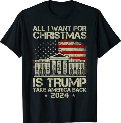 Vintage USA Flag All I Want For Christmas Is A New President Shirt