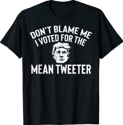 Anti Biden Trump Don't Blame Me I Voted For The Mean Shirt