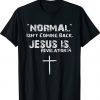 Normal Isn't Coming Back But Jesus Is Revelation 14 Costume Shirt