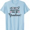 Classic My Favorite People Call Me Grandma T-Shirt