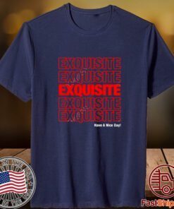 Fulcrum Exquisite Have A Nice Day 2023 Shirt