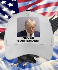 2024 Trump Never Surrender V-Neck T-Shirt