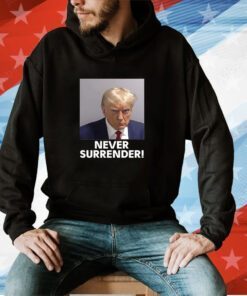 Trump 2024 Never Surrender Raglan Unisex T-Shirt