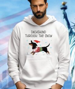 Dachshund through the snow Christmas shirt