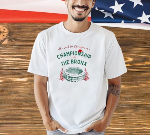 All I want for Christmas is a championship in the bronx 6T-shirt