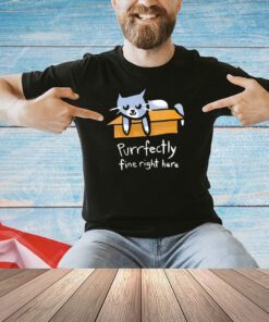 Cat in a box purrfectly fine T-shirt