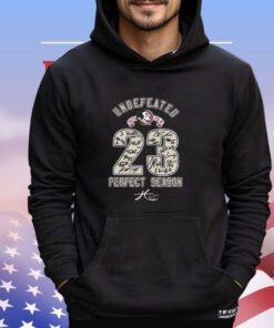 Florida State Seminoles Undefeated 2023 Perfect Season Go Noles T-Shirt