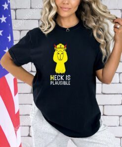 Heck is Plausible 2023 shirt