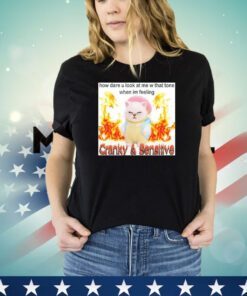 How dare u look at me w that tone when I’m feeling Cranky and Sensitive shirt