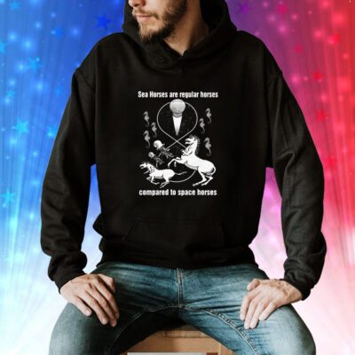 Sea Horses Are Regular Horses Compared To Space Horses Hoodie