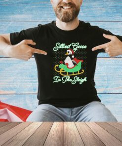 Silliest goose in the sleigh Christmas shirt