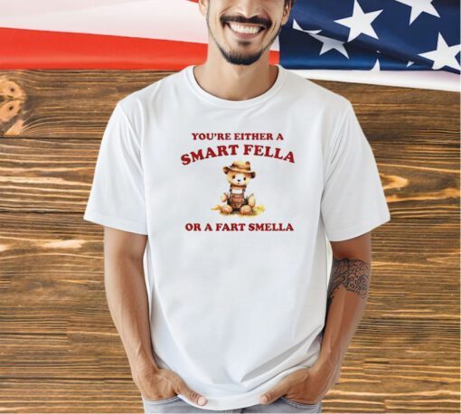 Teddy Bear you are either is smart fella or a fart smella T-shirt