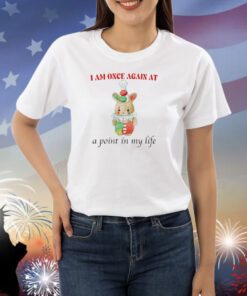 I Am Once Again At A Point In My Life Shirts