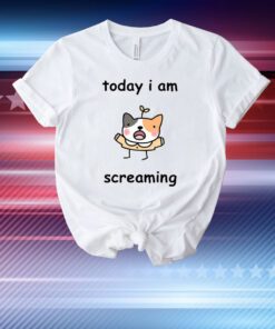 Today I Am Screaming T-Shirt