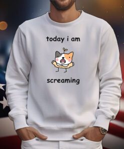 Today I Am Screaming Tee Shirts