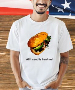 All I Need Is Banh Mi T-shirt