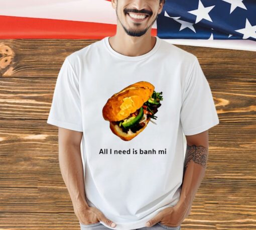 All I Need Is Banh Mi T-shirt