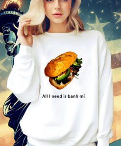 All I Need Is Banh Mi T-shirt
