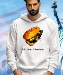 All I Need Is Banh Mi T-shirt