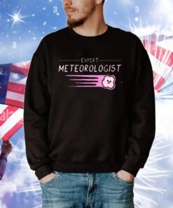 Expert Meteorologist t-shirt