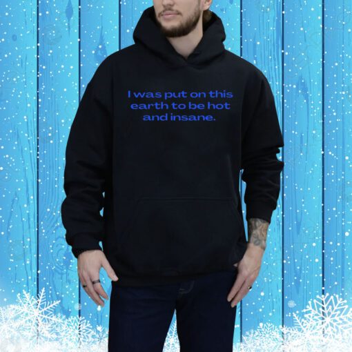 I Was Put On This Earth To Be Hot And Insane Hoodie Shirt