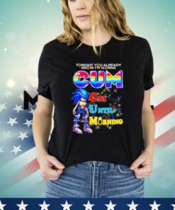 Sonic tonight you already know I’m gonna Cum cry until morning Shirt
