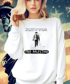 This is what our ruling class has decided will be normal free Palestine shirt