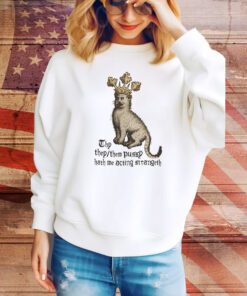 Thy They/Them Pussy Hath Me Acting Strangeth Hoodie Shirts