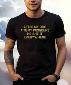 After My Dog Ate My Pronouns He She It Everywhere T Shirt