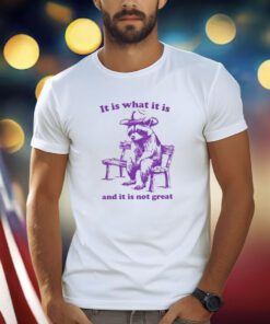 It Is What It Is And It Is Not Great Funny Shirt