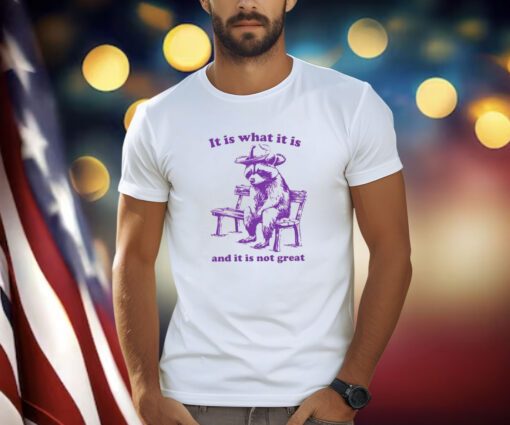 It Is What It Is And It Is Not Great Funny Shirt