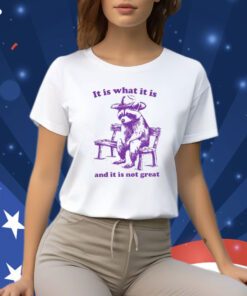 It Is What It Is And It Is Not Great Funny Shirt