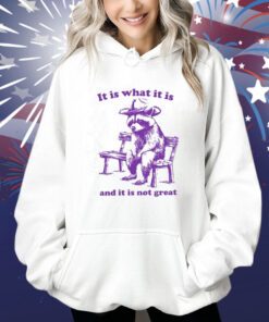 It Is What It Is And It Is Not Great Funny Shirt