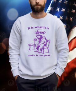 It Is What It Is And It Is Not Great Funny Shirt