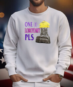 Jmcgg Pompompurin One 1 Lobotomy Pls T-Shirt