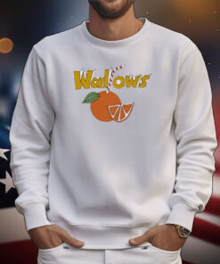 Limited Wallows Orange Juice T-Shirt