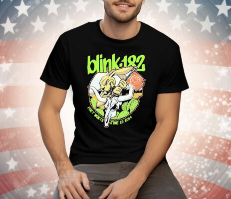Blink 182 June 25 2024 Fort Worth TX Tee Shirt